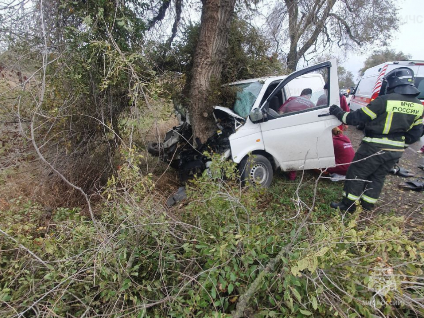 В Геническом округе микроавтобус намотало на дерево