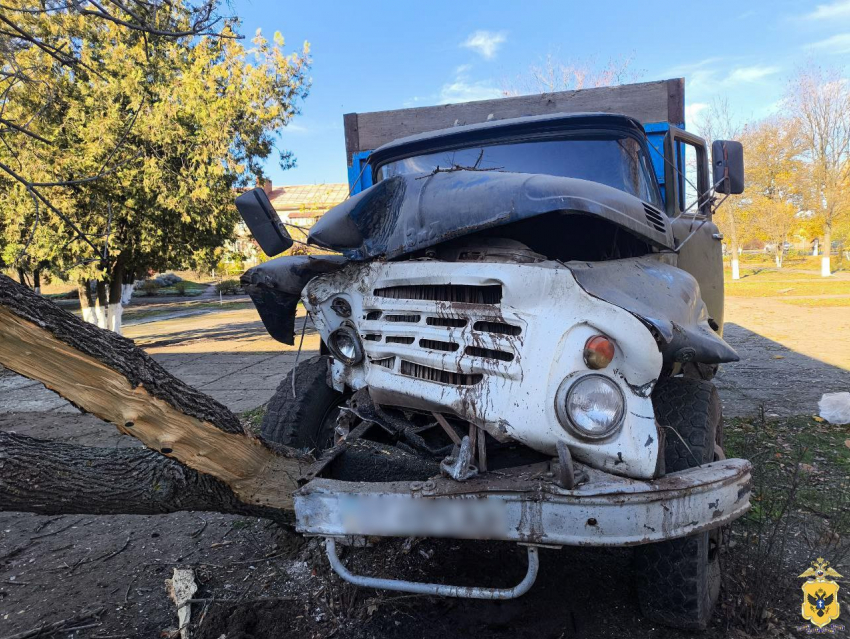 Пьяный херсонец угнал грузовик для «покатушек» и врезался в дерево