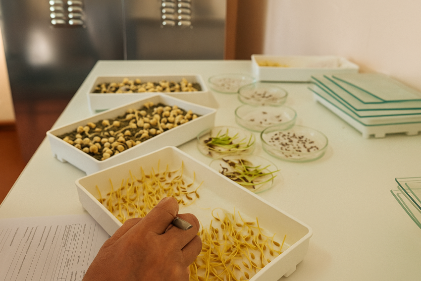 Осенью в Каланчаке откроется лаборатория качества: что это даст фермерам