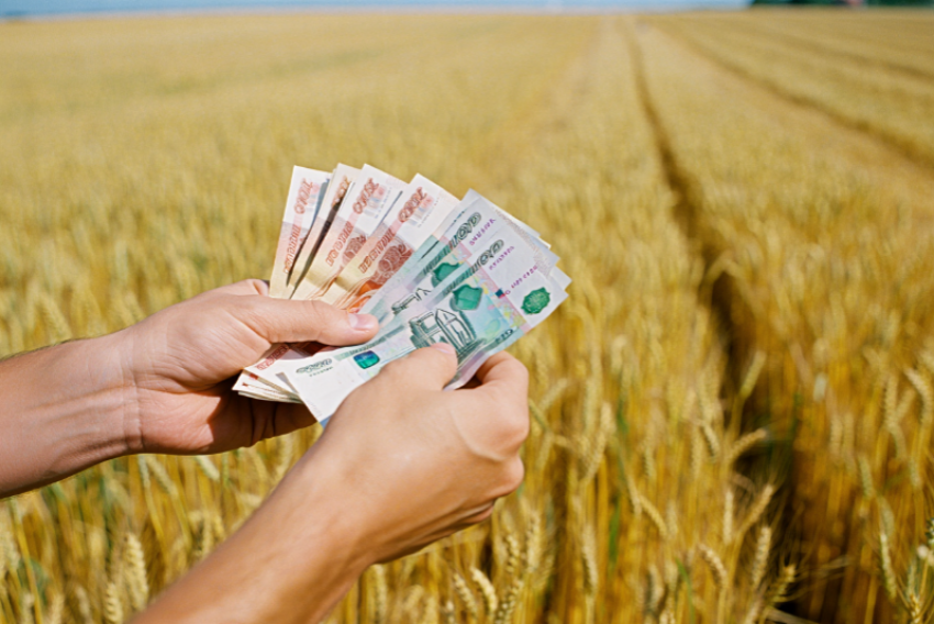 Сельхозпредприниматель из Херсонской области похитил из бюджета 450 тысяч рублей