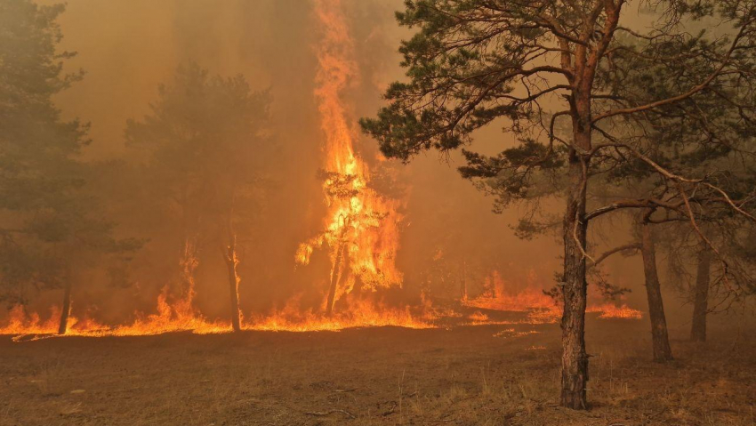 В Херсонской области из-за атаки ВСУ пострадали 7 человек