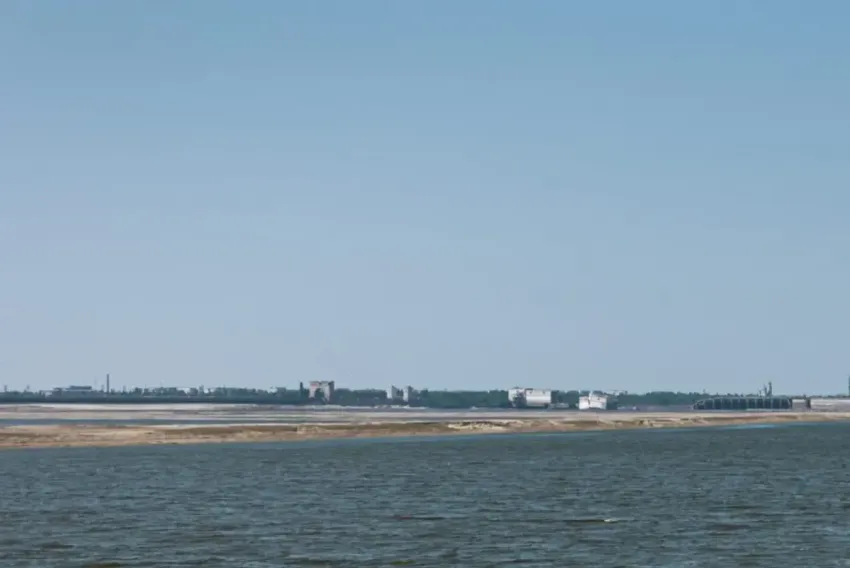 Херсонская область мечтает о виноделии, но наращивает производство зерна