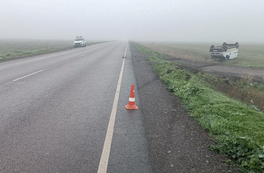 Женщина пострадала при опрокидывании микроавтобуса на трассе «Херсон – Аскания-Нова»