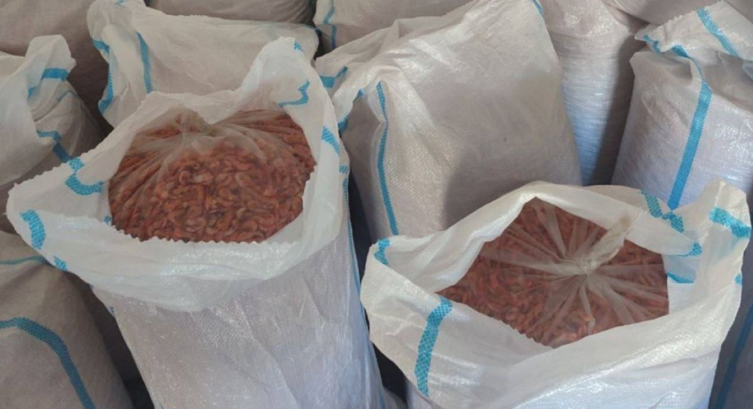 В Херсонской области браконьера приговорили к обязательным работам за ловлю креветки 