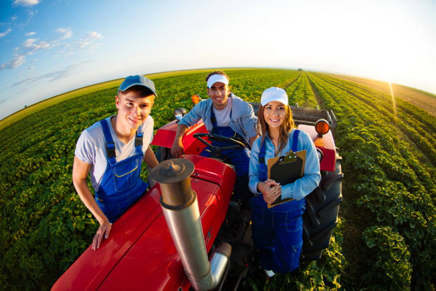 Молодёжь Херсонской области не хочет идти в сельское хозяйство