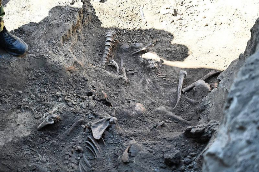 «Избивали досками с гвоздями, обматывали колючей проволокой»: зверства нацистов в Херсонской области