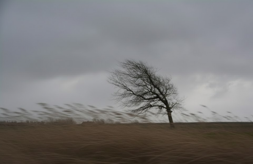 Херсонскую область вплоть до 19 февраля накроет ледяной шторм с сильным ветром 