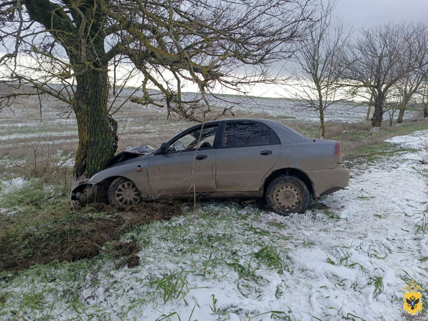 На Херсонщине иномарка врезалась в дерево, пострадали два человека