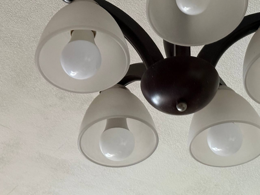 На Херсонщине 22 населённых пункта останутся без электричества 18 августа