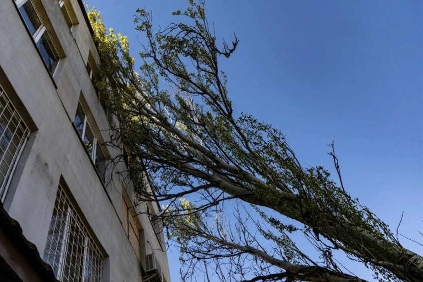 В Херсоне показали упавшие от урагана деревья и антидроновые сети