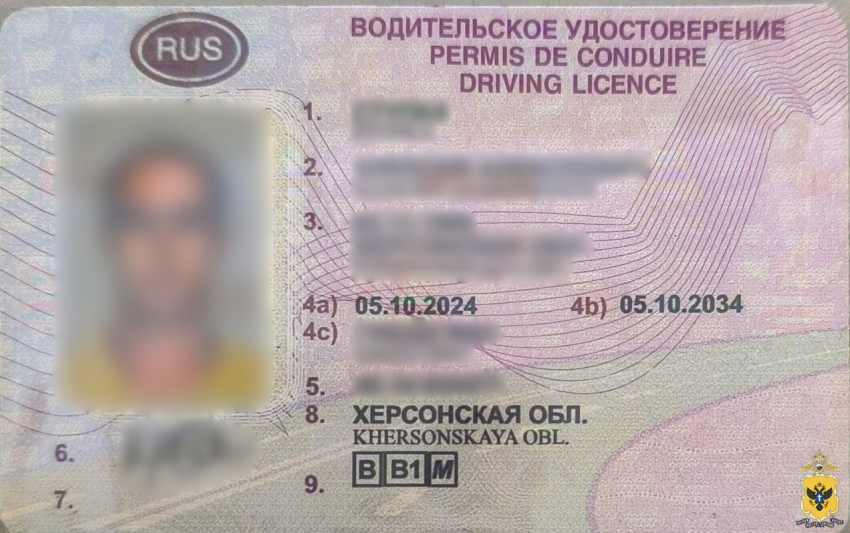 Водителя с поддельными правами поймали в Геническе