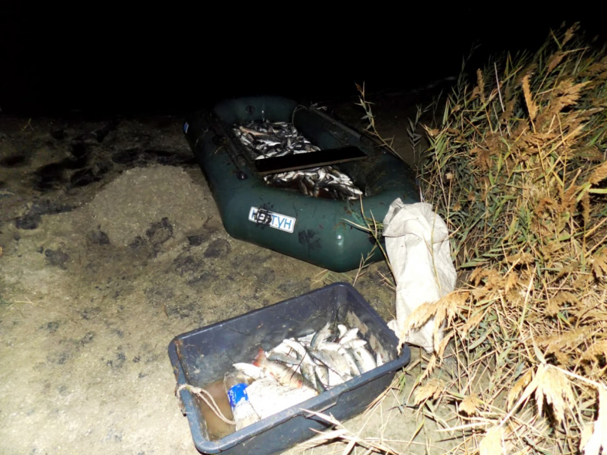 Жителя Геническа задержали за вылов кефали на 700 тысяч рублей в Сиваше