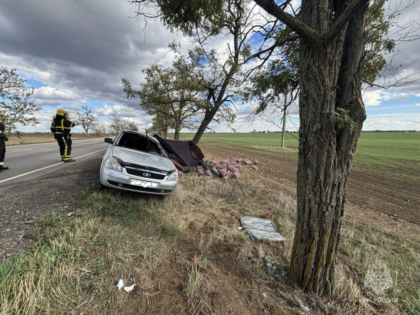 Под Чаплинкой «Приора» с прицепом картошки слетела с трассы и врезалась в дерево