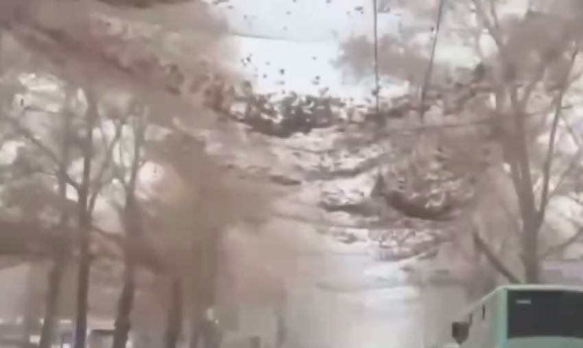 Жители Херсона показали на видео опутавшую город антидроновую паутину