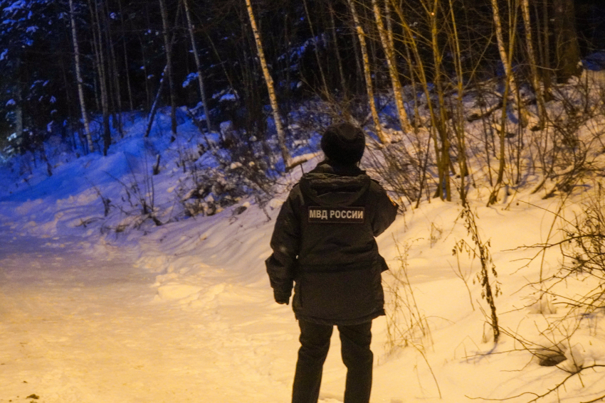 Пять полицейских погибли при ударе ВСУ в Херсонской области