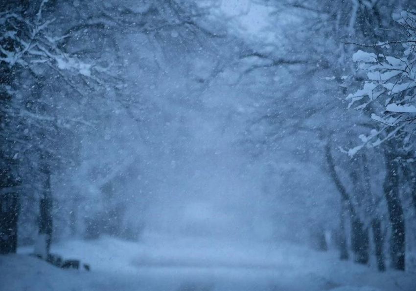 На Херсонскую область обрушится сильная метель