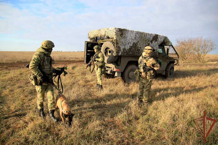 Две тротиловые шашки нашли на дороге в Херсонской области