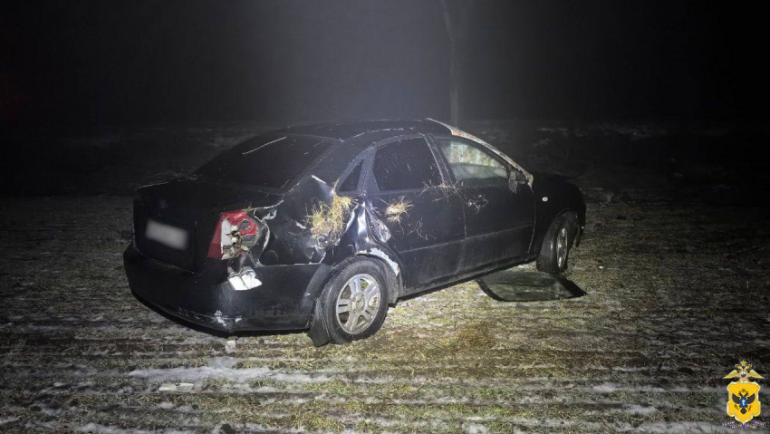 Иномарка слетела в кювет в Геническом округе, пострадали водитель и девушка 
